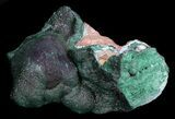 Glimmering, Green Chrysocolla Crystals - Zaire #35648-1